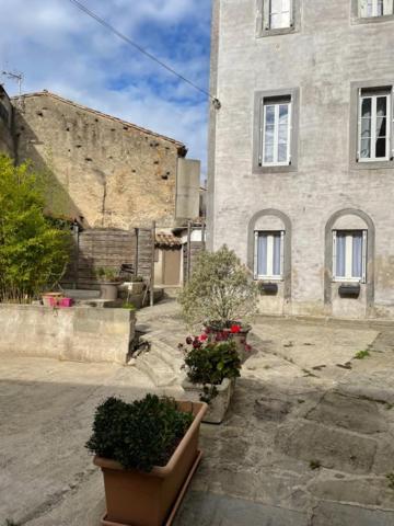 Le Patio Cathare Apartment Carcassonne Bagian luar foto