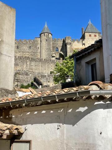 Le Patio Cathare Apartment Carcassonne Bagian luar foto