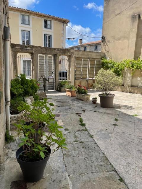 Le Patio Cathare Apartment Carcassonne Bagian luar foto