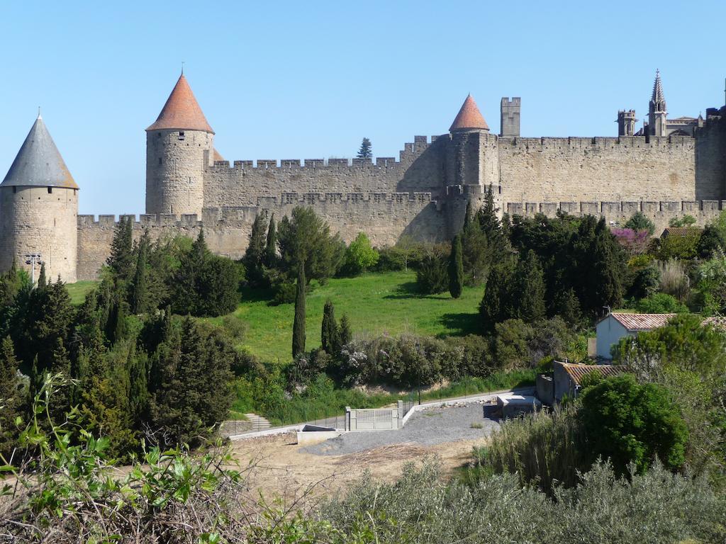 Le Patio Cathare Apartment Carcassonne Bagian luar foto